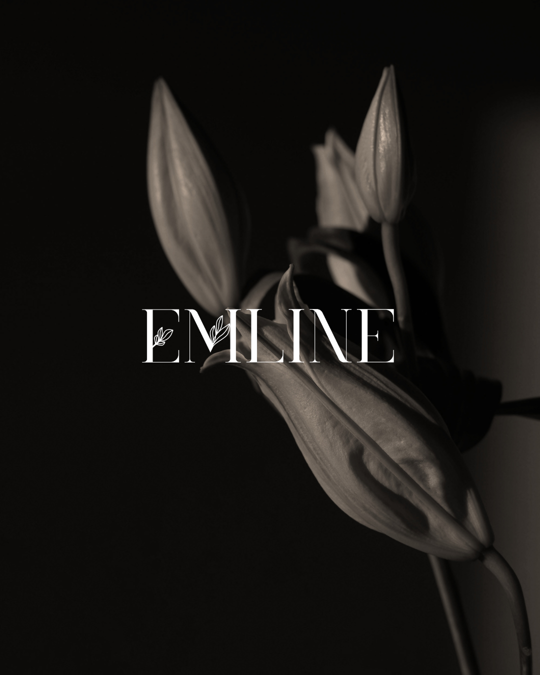 enliven-studio-works-emline-product-photography-05
